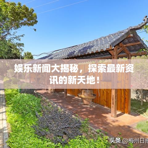 娱乐新闻大揭秘，探索最新资讯的新天地！