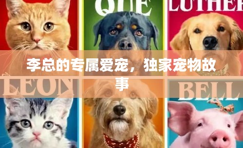 李总的专属爱宠，独家宠物故事