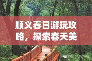 顺义春日游玩攻略，探索春天美景，尽享惬意时光！