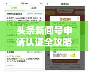 头条新闻号申请认证全攻略，步骤详解，轻松上手！