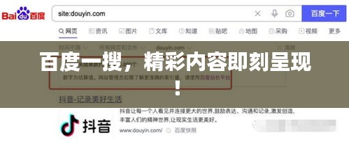 百度一搜，精彩内容即刻呈现！
