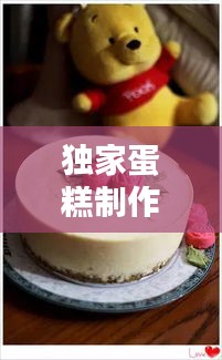 独家蛋糕制作秘籍，选材到创意的完美指南