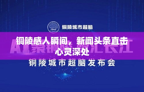 铜陵感人瞬间，新闻头条直击心灵深处