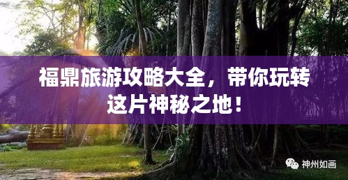 福鼎旅游攻略大全，带你玩转这片神秘之地！
