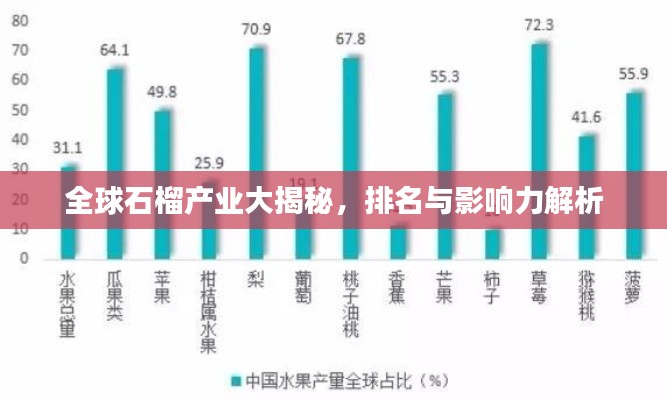 全球石榴产业大揭秘，排名与影响力解析