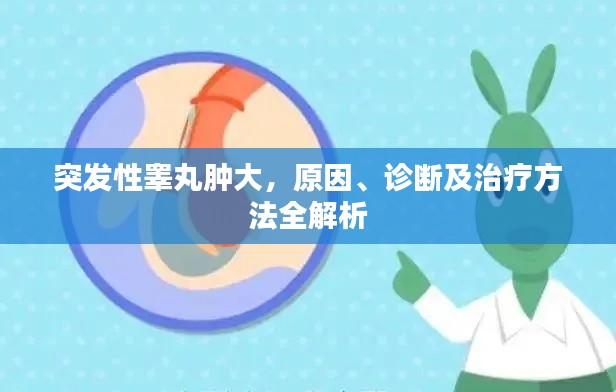 突发性睾丸肿大，原因、诊断及治疗方法全解析