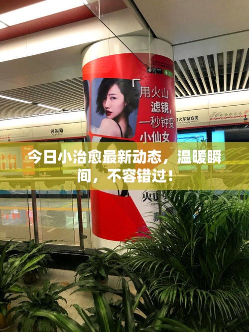今日小治愈最新动态，温暖瞬间，不容错过！