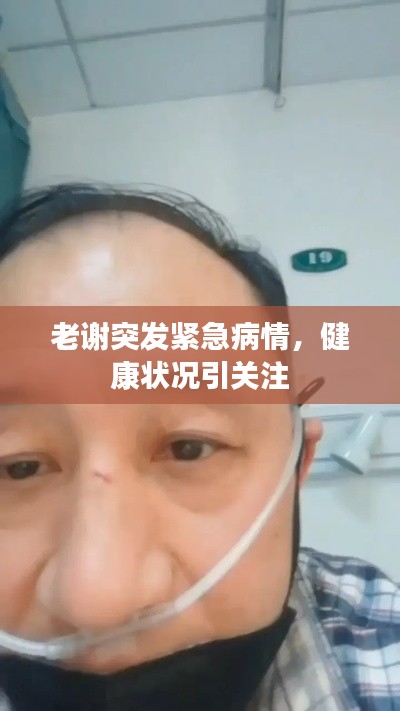 老谢突发紧急病情，健康状况引关注