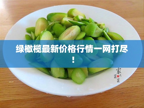 绿橄榄最新价格行情一网打尽！