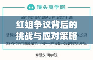 红姐争议背后的挑战与应对策略，公众人物的必修课