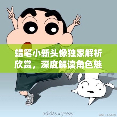 蜡笔小新头像独家解析欣赏，深度解读角色魅力与独特风采