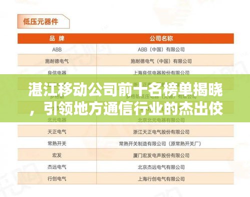 湛江移动公司前十名榜单揭晓，引领地方通信行业的杰出佼佼者