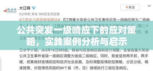 公共突发一级响应下的应对策略，实践案例分析与启示