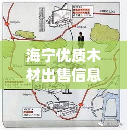 海宁优质木材出售信息，最新动态一网打尽