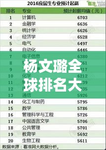 杨文璐全球排名大揭秘！