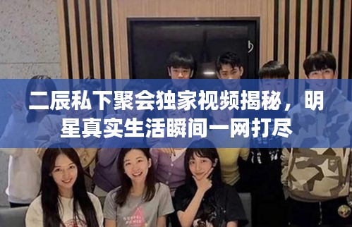 二辰私下聚会独家视频揭秘，明星真实生活瞬间一网打尽