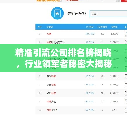 精准引流公司排名榜揭晓，行业领军者秘密大揭秘！
