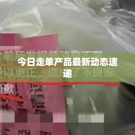 今日走单产品最新动态速递
