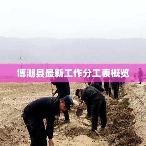 博湖县最新工作分工表概览