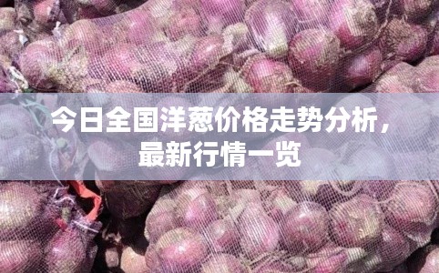 今日全国洋葱价格走势分析，最新行情一览