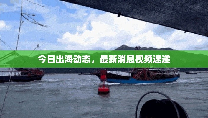 今日出海动态，最新消息视频速递
