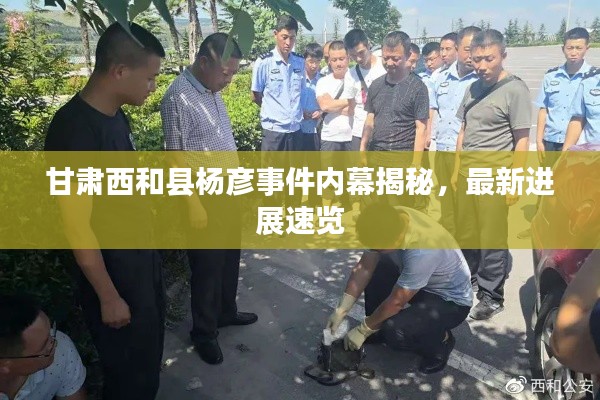 甘肃西和县杨彦事件内幕揭秘，最新进展速览