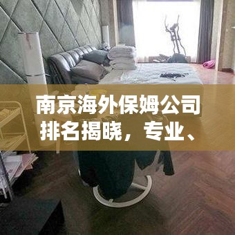 南京海外保姆公司排名揭晓，专业、信誉与服务的全方位考量