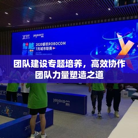 团队建设专题培养，高效协作团队力量塑造之道