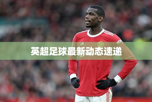 英超足球最新动态速递