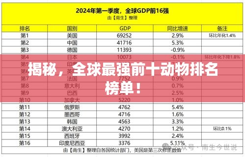 揭秘，全球最强前十动物排名榜单！