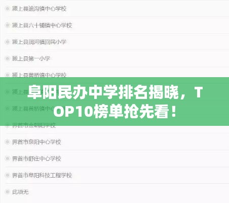 阜阳民办中学排名揭晓，TOP10榜单抢先看！