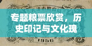 专题粮票欣赏，历史印记与文化瑰宝的独特魅力