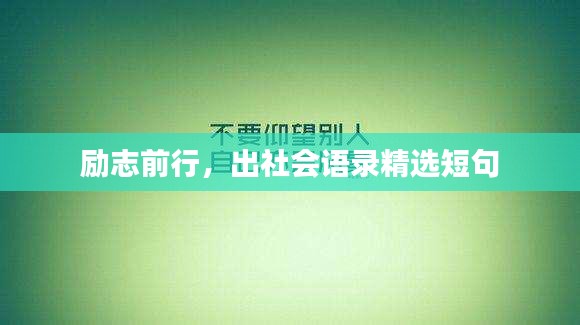 励志前行，出社会语录精选短句