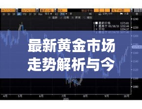 最新黄金市场走势解析与今日金价汇总表呈现