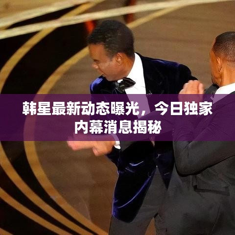 韩星最新动态曝光，今日独家内幕消息揭秘