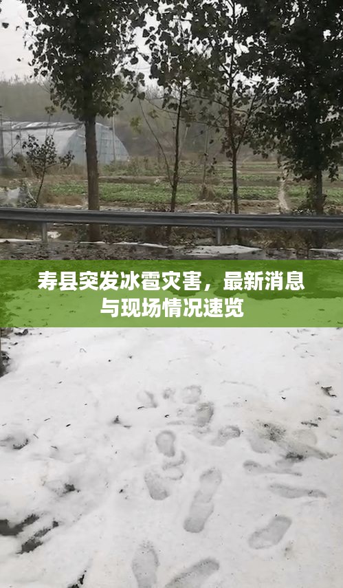 寿县突发冰雹灾害，最新消息与现场情况速览