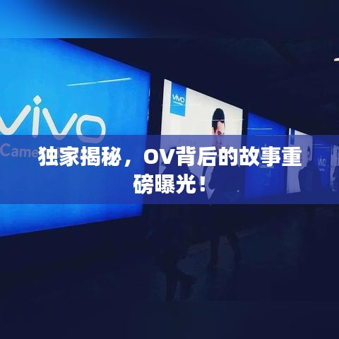 独家揭秘，OV背后的故事重磅曝光！