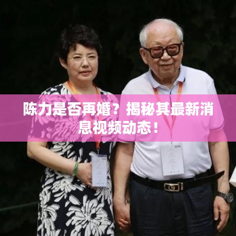 陈力是否再婚？揭秘其最新消息视频动态！