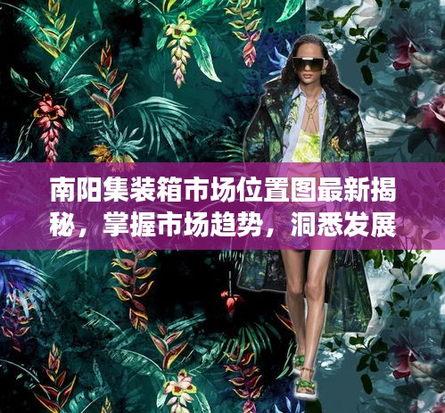 南阳集装箱市场位置图最新揭秘，掌握市场趋势，洞悉发展动态