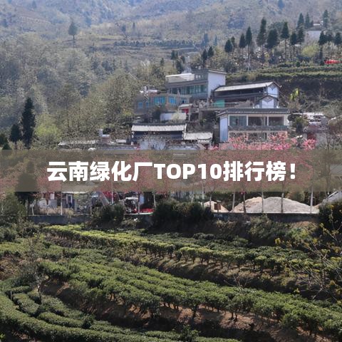 云南绿化厂TOP10排行榜！