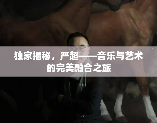 独家揭秘，严超——音乐与艺术的完美融合之旅