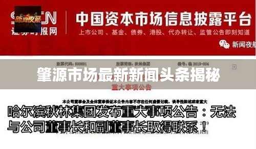 肇源市场最新新闻头条揭秘