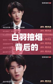白羽抽烟背后的真相，深度解读与百度视角观察