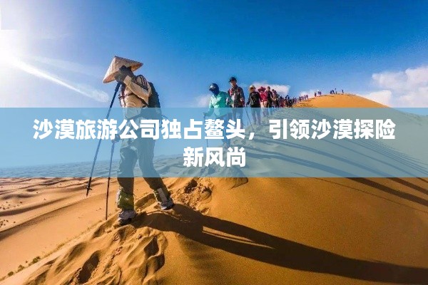 沙漠旅游公司独占鳌头，引领沙漠探险新风尚