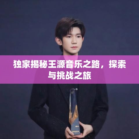 独家揭秘王源音乐之路，探索与挑战之旅