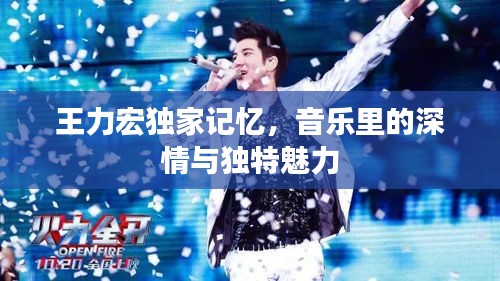 王力宏独家记忆，音乐里的深情与独特魅力