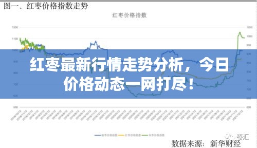 红枣最新行情走势分析，今日价格动态一网打尽！