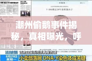 潮州偷鹅事件揭秘，真相曝光，呼吁社会关注，视频全集最新更新