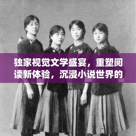 独家视觉文学盛宴，重塑阅读新体验，沉浸小说世界的视觉之旅