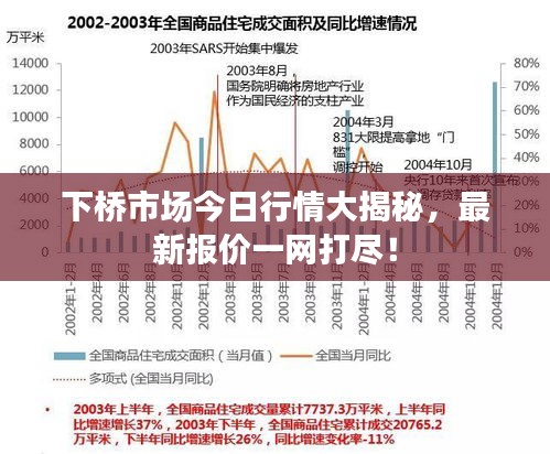下桥市场今日行情大揭秘，最新报价一网打尽！